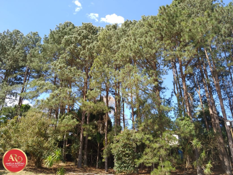 VARGEM GRANDE PAULISTA / TIJUCO PRETO/SP