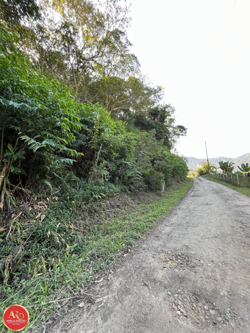 PEDRO DE TOLEDO/SP/SP