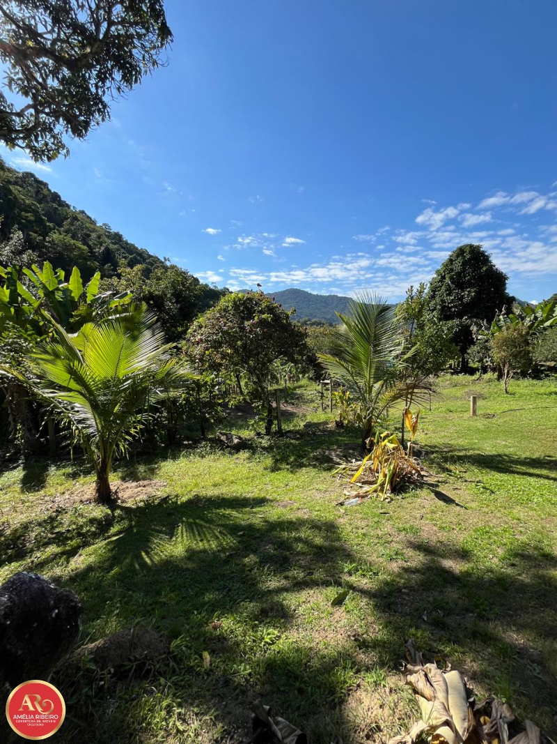 PEDRO DE TOLEDO/SP/SP