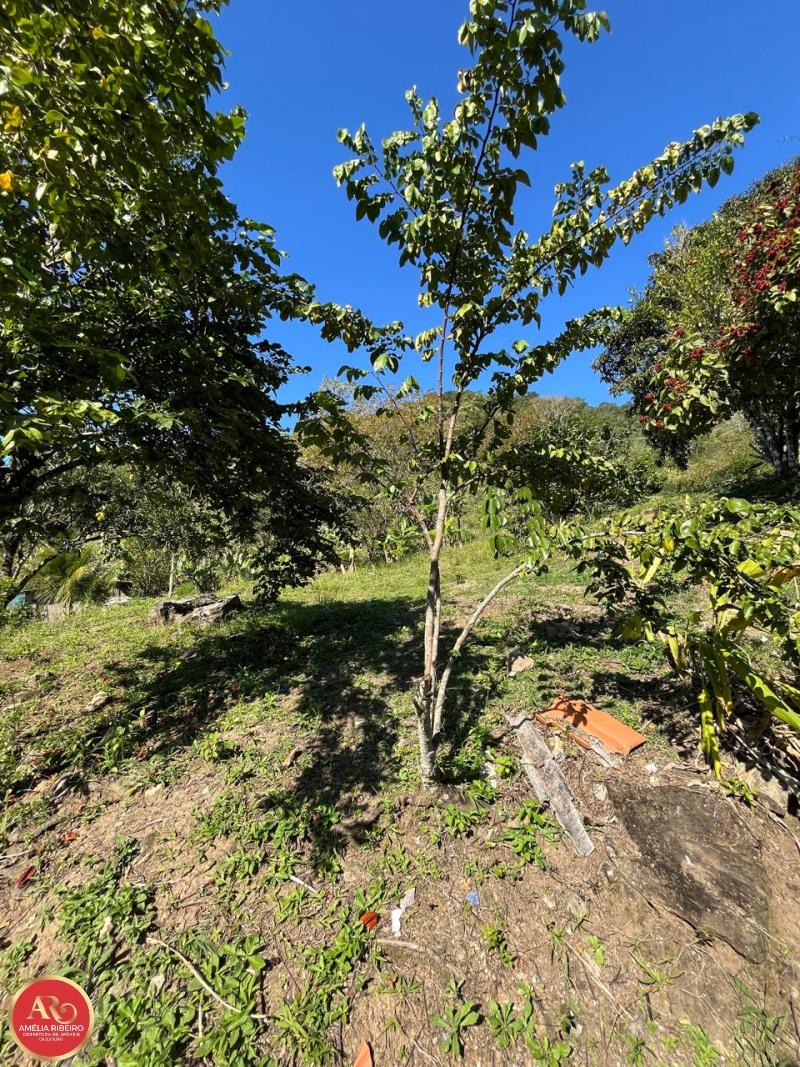 PEDRO DE TOLEDO/SP/SP