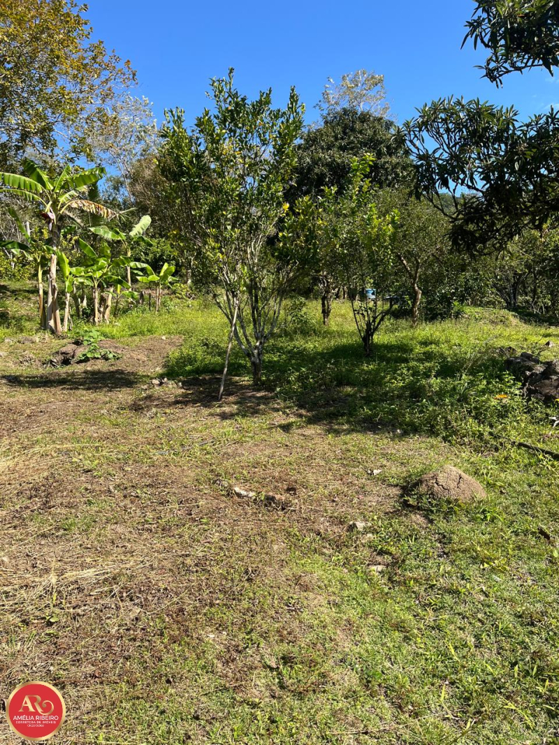 PEDRO DE TOLEDO/SP/SP