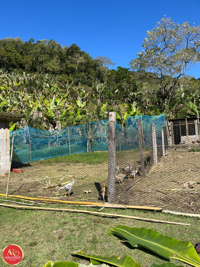 PEDRO DE TOLEDO/SP/SP