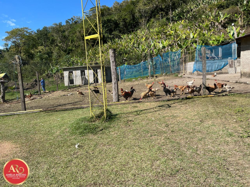 PEDRO DE TOLEDO/SP/SP