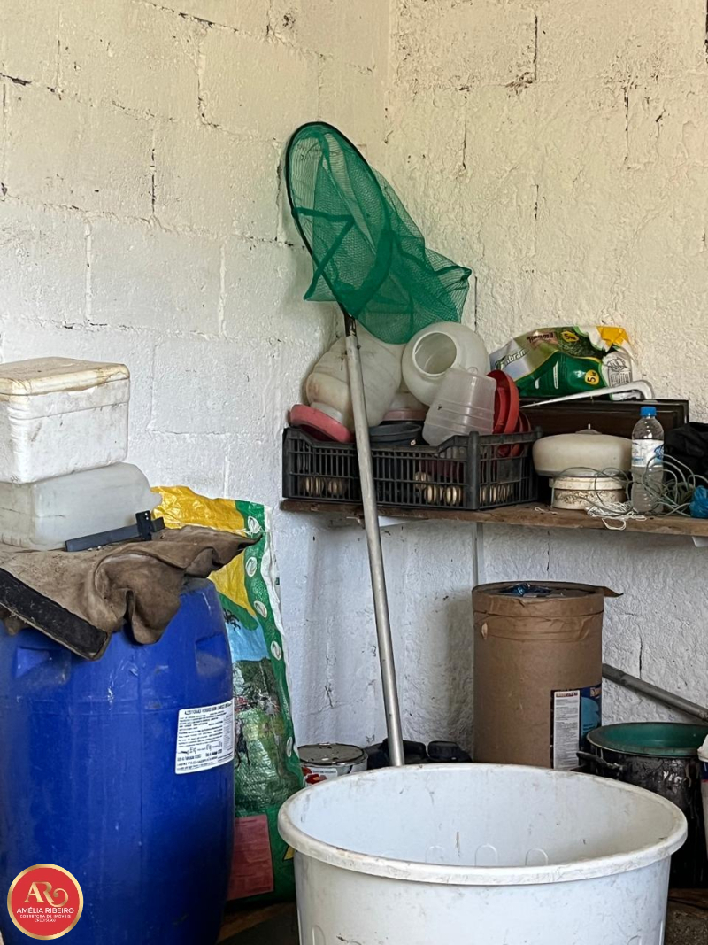 PEDRO DE TOLEDO/SP/SP