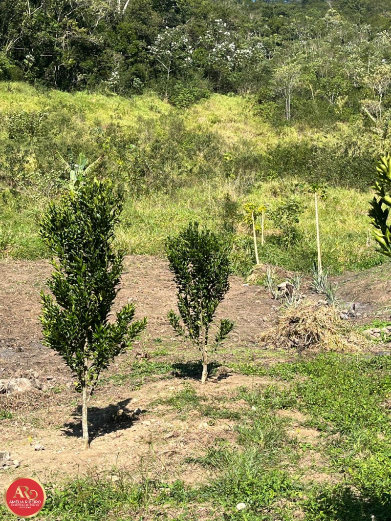 PEDRO DE TOLEDO/SP/SP