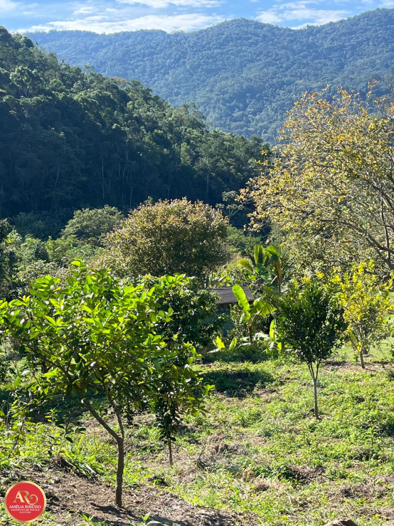 PEDRO DE TOLEDO/SP/SP