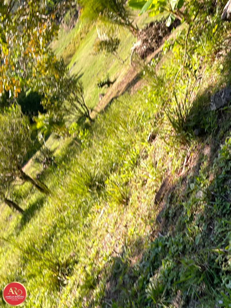 PEDRO DE TOLEDO/SP/SP