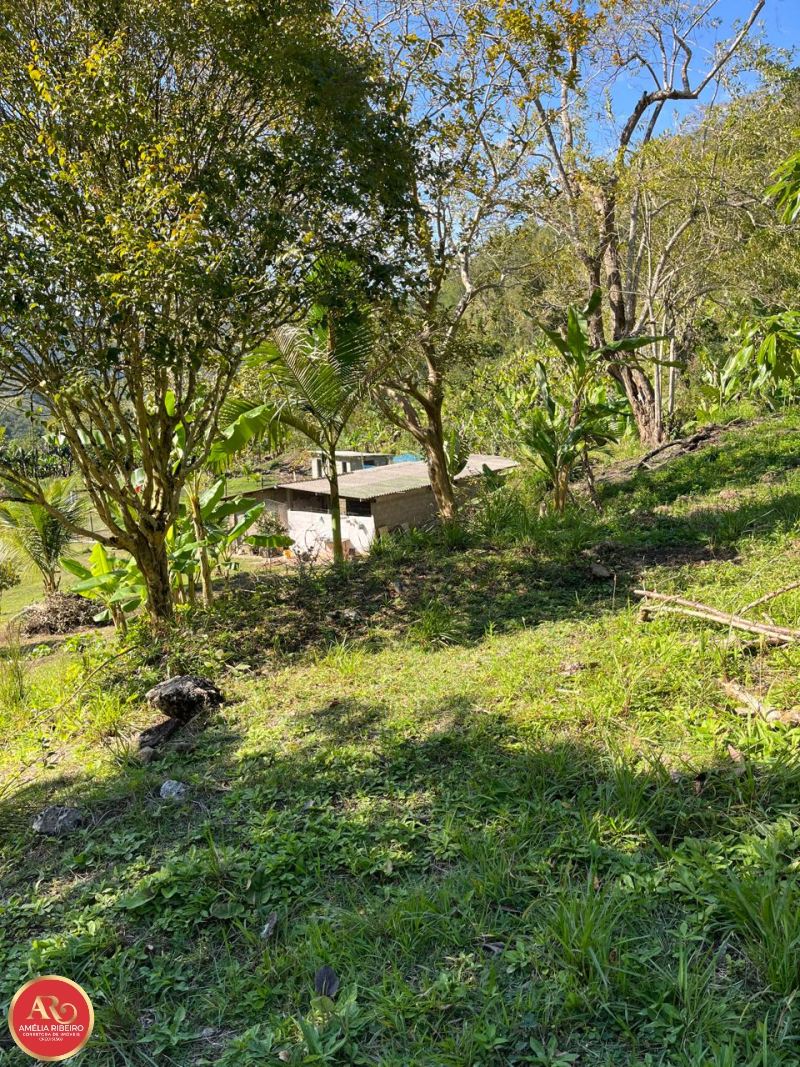 PEDRO DE TOLEDO/SP/SP