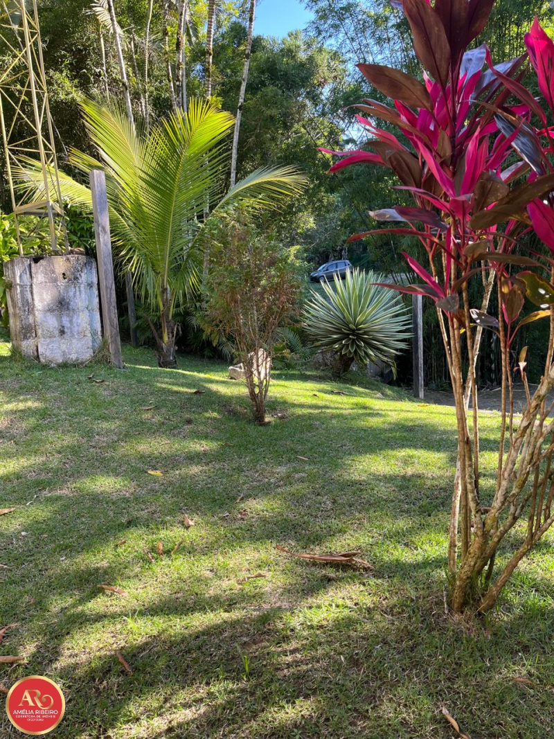 PEDRO DE TOLEDO/SP/SP